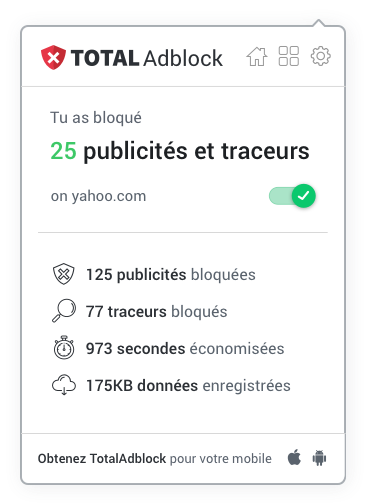TotalAdblock extension